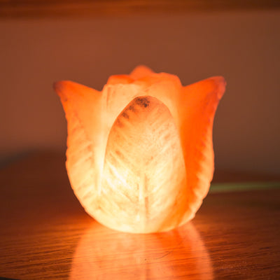 SALT LAMP 001 H