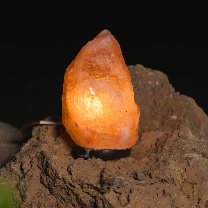 SALT LAMP 001 N