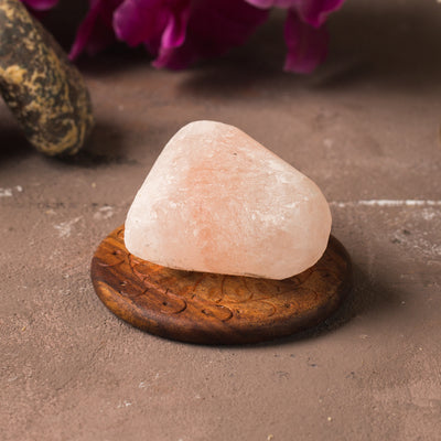 SALT BAR 002B