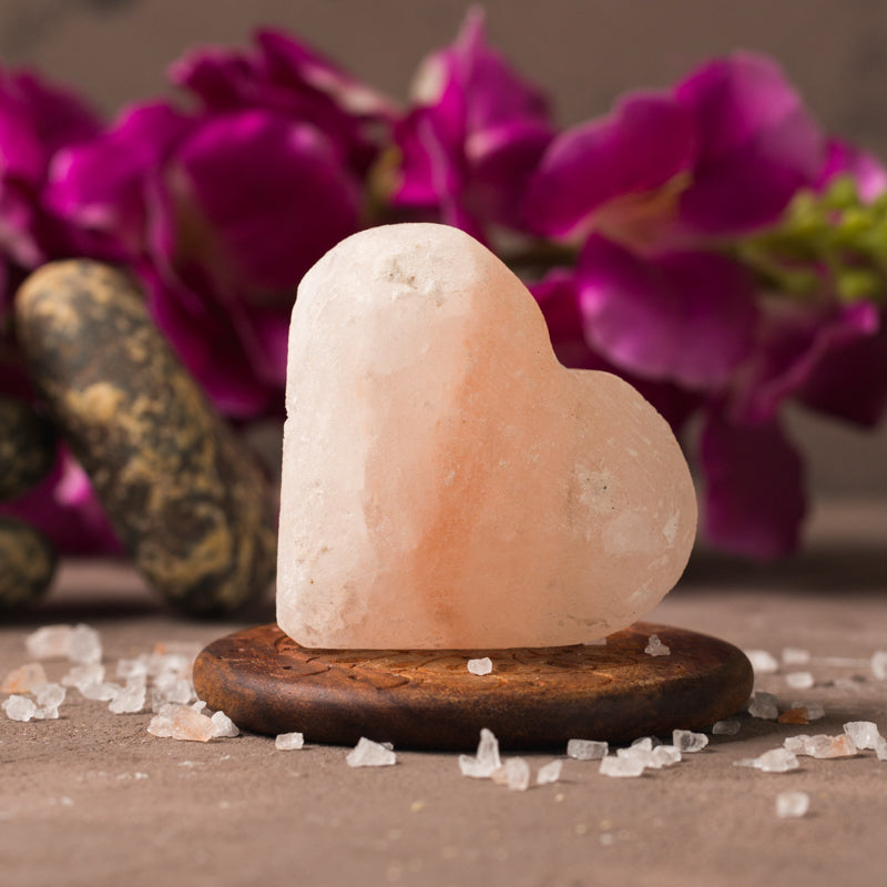 SALT BAR 002B