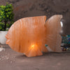 SALT LAMP 001 A