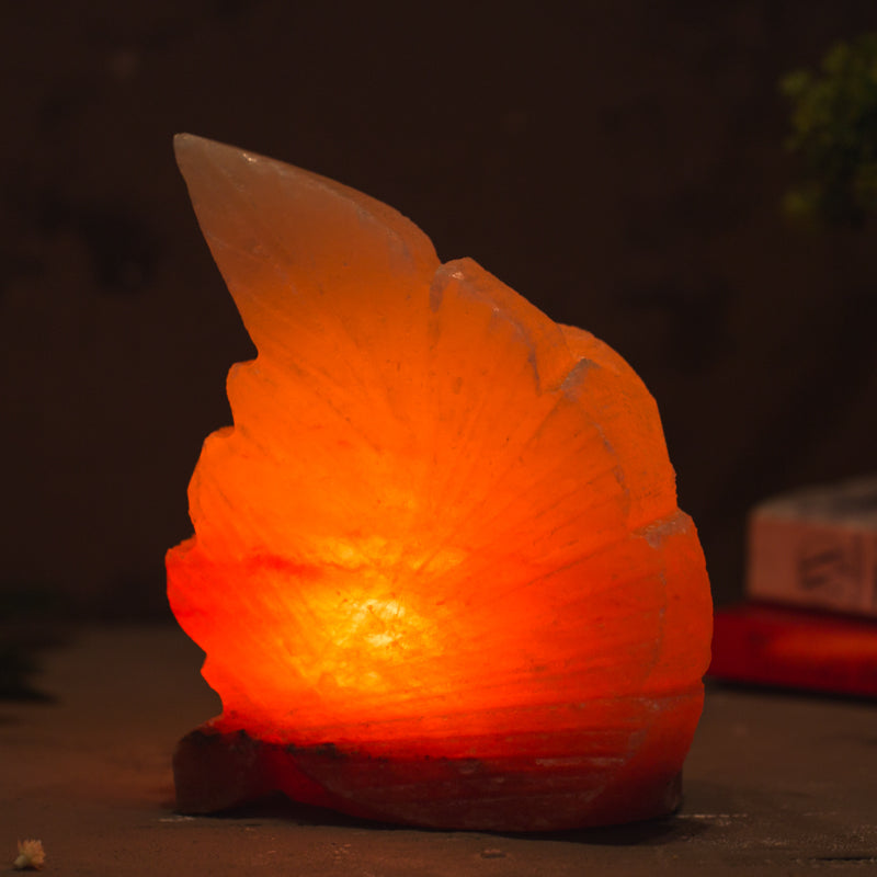 SALT LAMP 001 C
