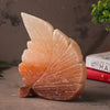 SALT LAMP 001 C