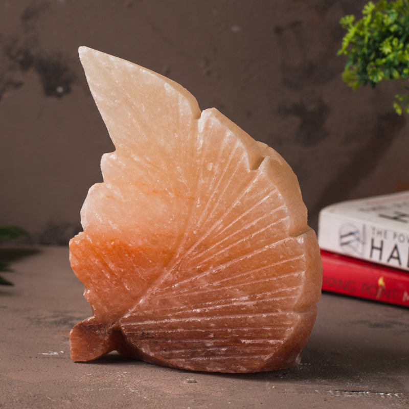 SALT LAMP 001 C