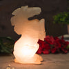 SALT LAMP 001 D