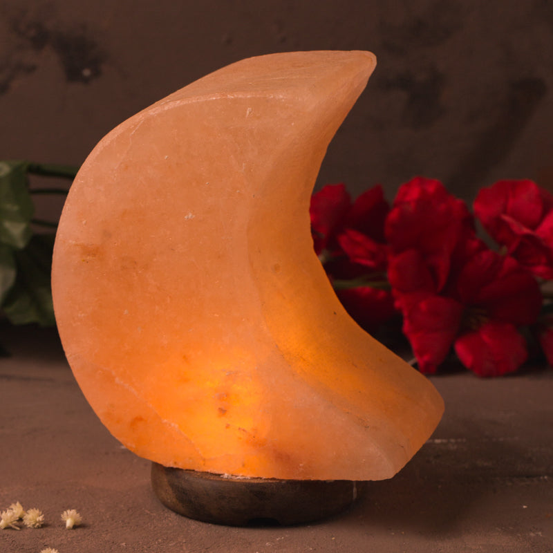 SALT LAMP 001 E