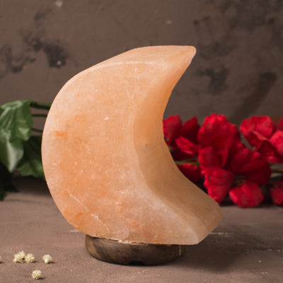 SALT LAMP 001 E