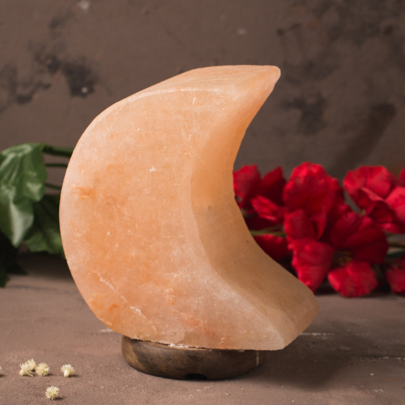 SALT LAMP 001 E