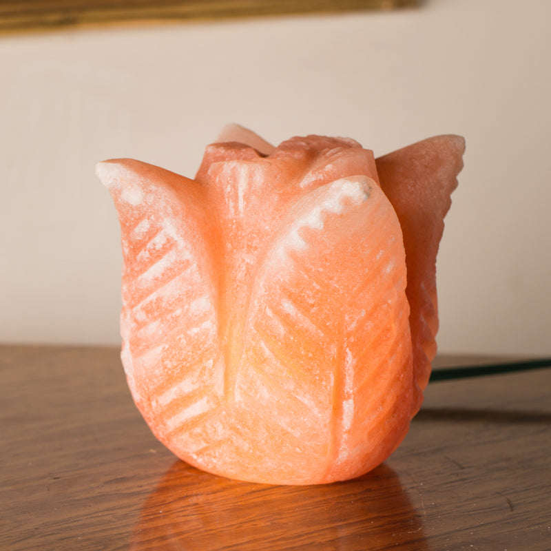 SALT LAMP 001 H