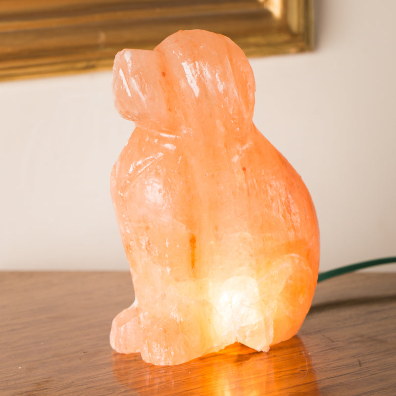 SALT LAMP 001 I