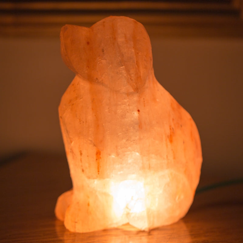 SALT LAMP 001 I