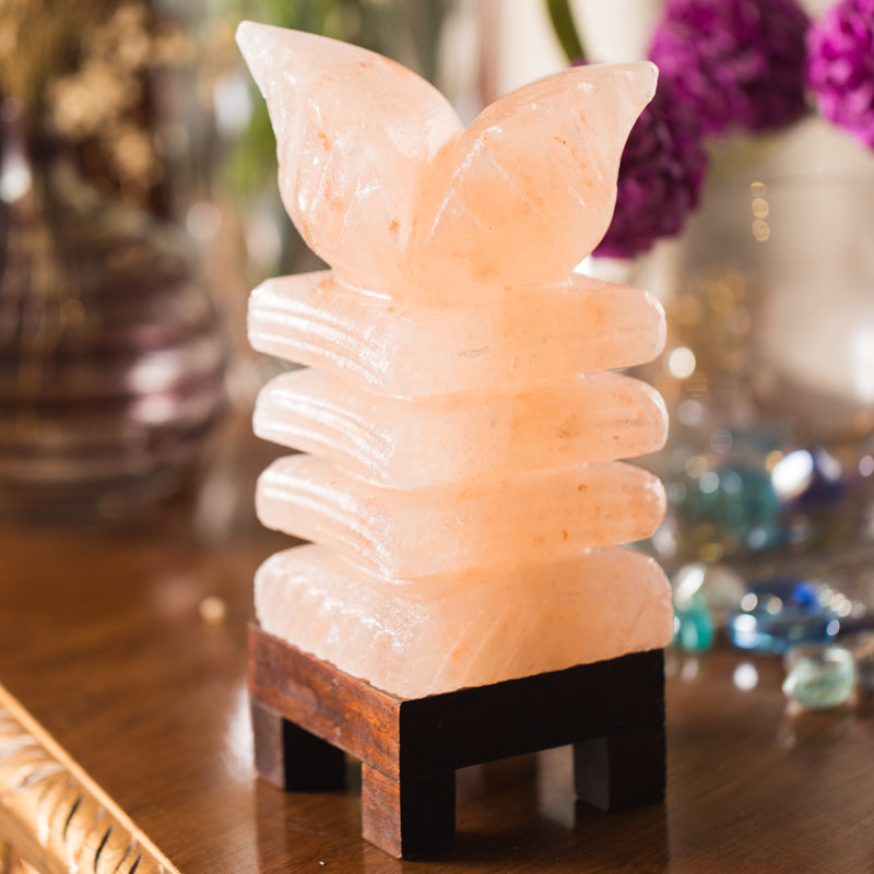 SALT LAMP 001 J