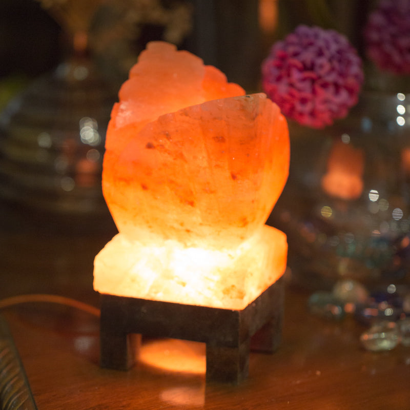 SALT LAMP 001 L