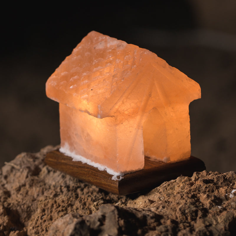 SALT LAMP 001 O